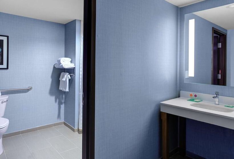 高级寓所标准房间, Hyatt Place Dallas/allen