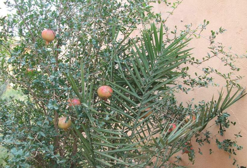 标准间, Kasbah Valentine