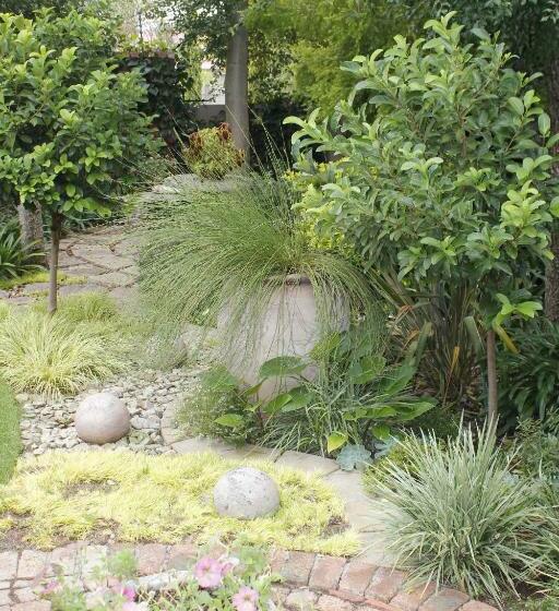 家庭间, Primavera Guest House