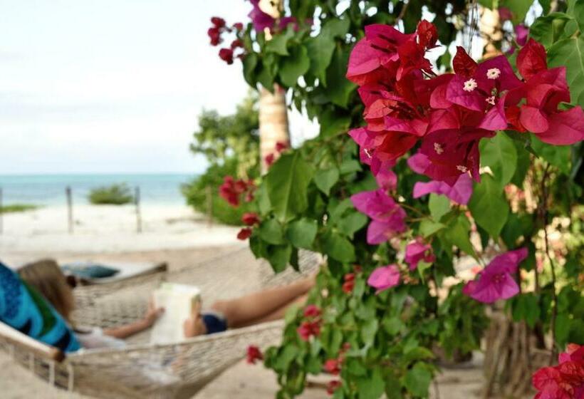 オーシャンビュースタンダードルーム, Sharazad Boutique