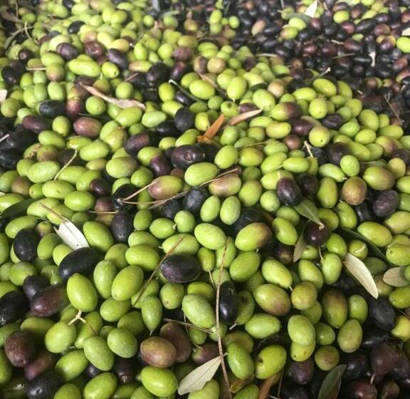 带按摩浴盆的套房, Relais Montemaggiore