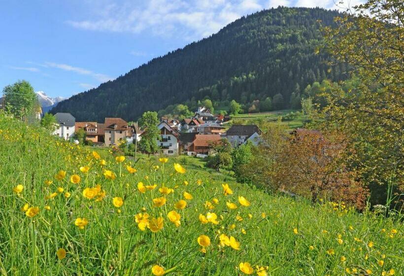 דירת שני חדרים, Albergo Diffuso Comeglians