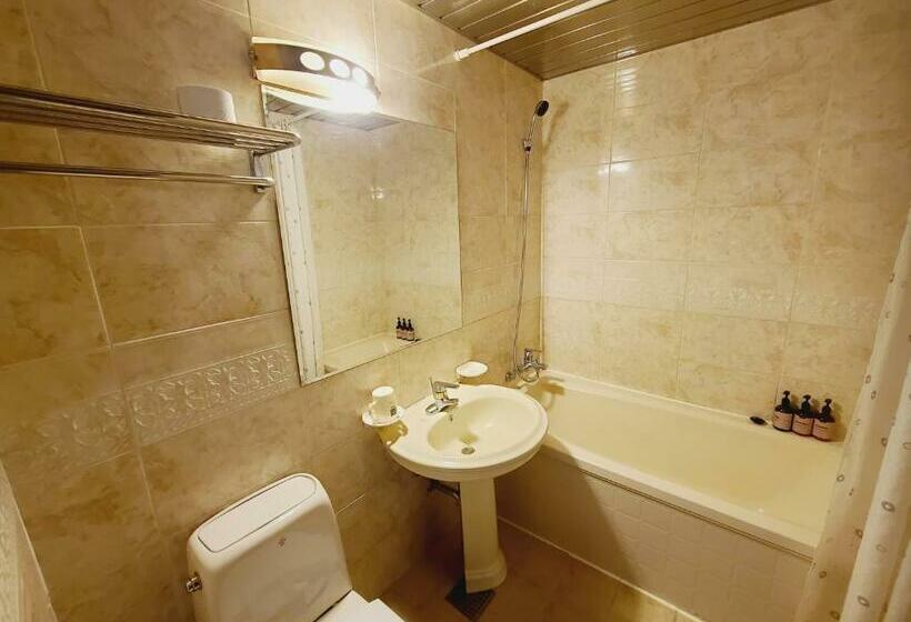 اتاق سوپریور, Goodstay Andong Park