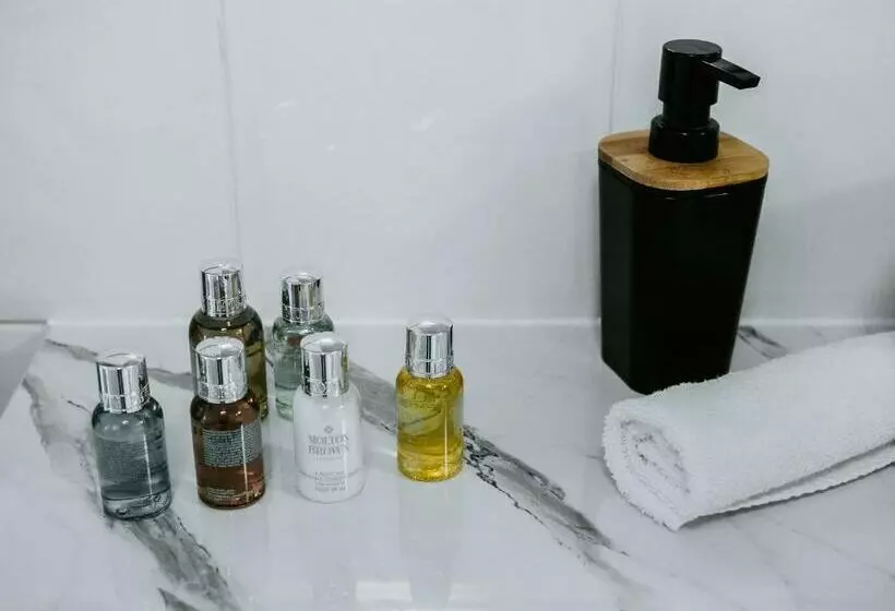 一ベッドルームエクゼクティブアパートメント, Soya Apartment
