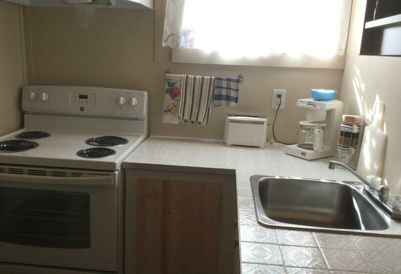 家庭工作室, Cedars Motel