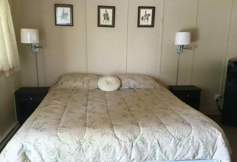 キングサイズベッドのデラックススイート, Cedars Motel