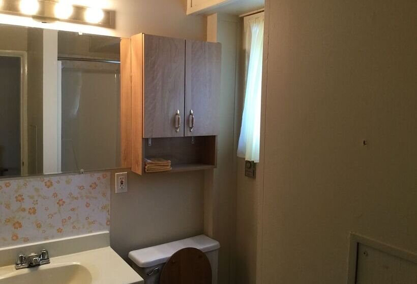 豪华工作室, Cedars Motel