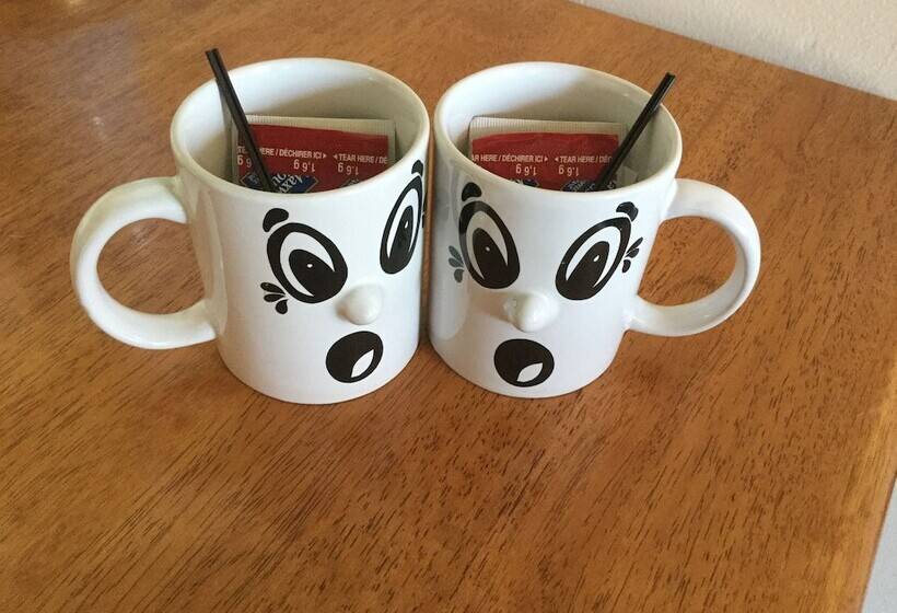 豪华房间, Cedars Motel