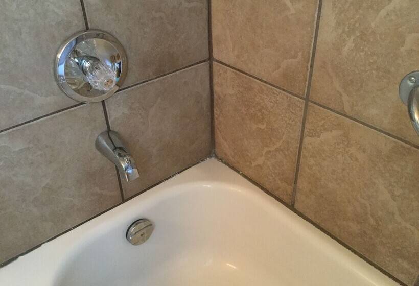 家庭工作室, Cedars Motel