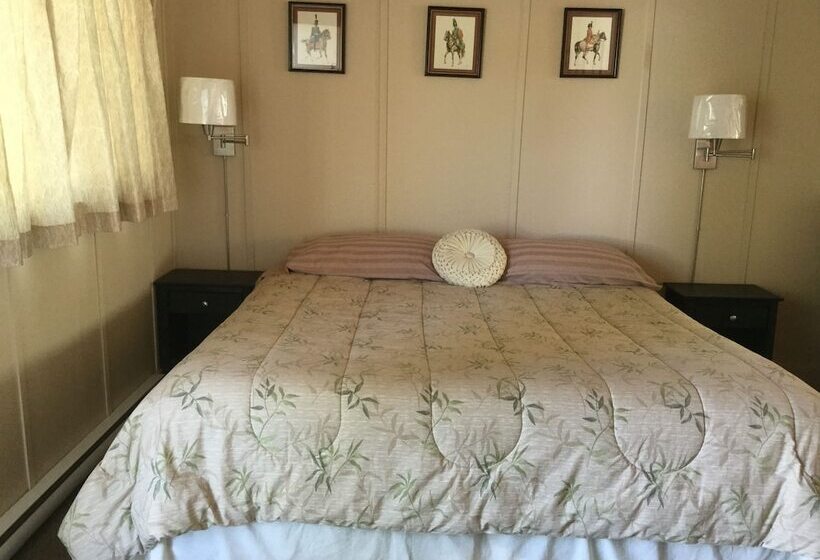 豪华套房, Cedars Motel