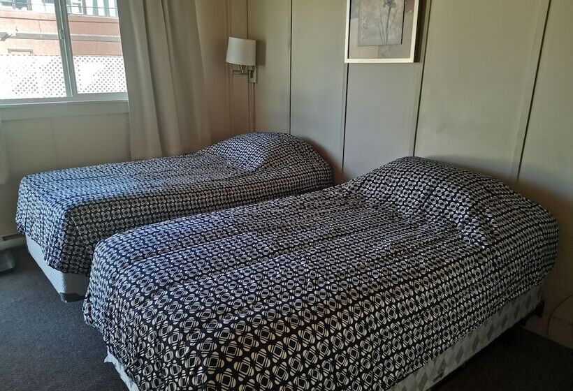 小型套房, Cedars Motel