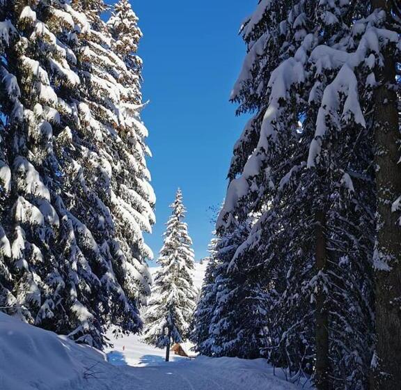 חדר משפחתי, Auberge Du Fraizier