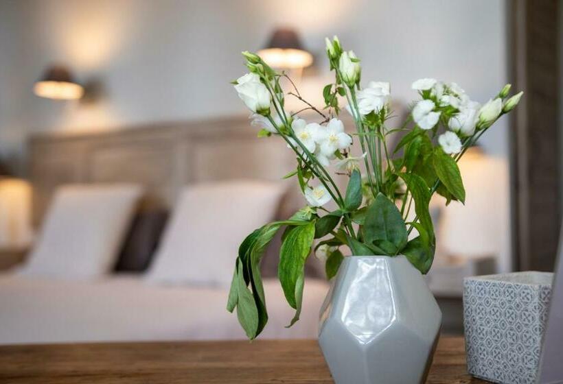 غرفة قياسية مطلّة علي الحديقة, Le Jardin De Mazan