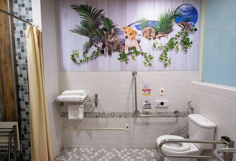 اتاق استاندارد, Classic Shvatan