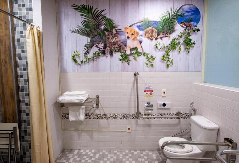 اتاق استاندارد, Classic Shvatan