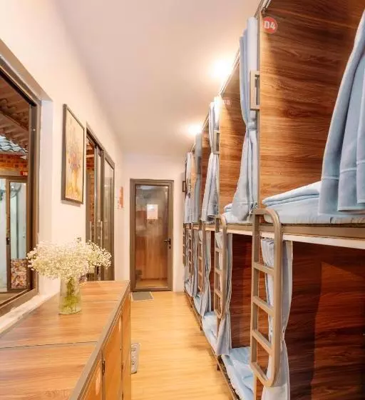 تختخواب در اتاق مشترک, Wafami Hostel Ninh Binh