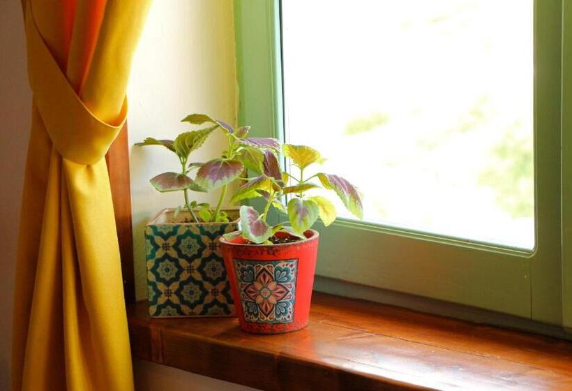 اتاق استاندارد سه نفره, Stone City Hostel