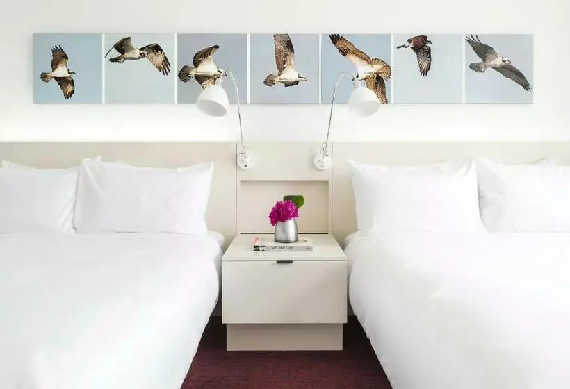デラックスルーム, 21c Museum Hotel Lexington
