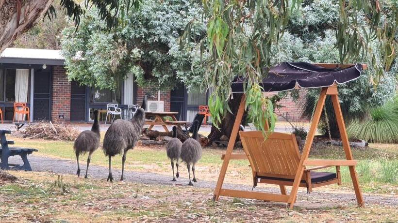 Апартаменты 1 Спальня, Halls Haven Holiday Units