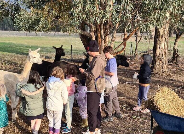 Апартаменты 1 Спальня, Halls Haven Holiday Units