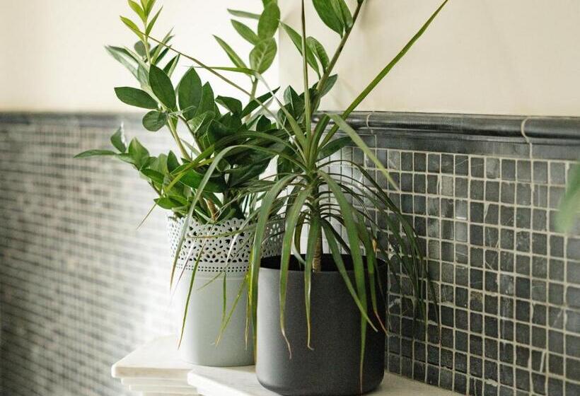 디럭스 스위트 킹 침대, Berwick Lodge