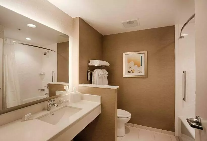 シングルデラックスルーム, Fairfield Inn & Suites By Marriott Clearwater Beach