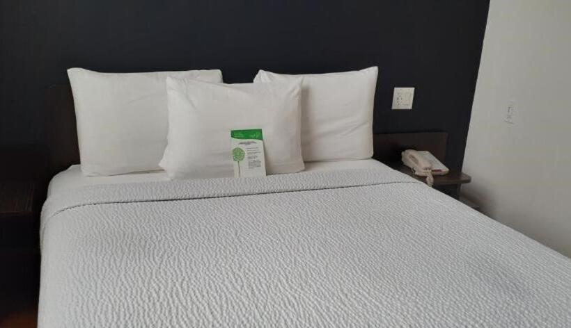 חדר סטנדרט עם מיטת קינג, Feather Factory