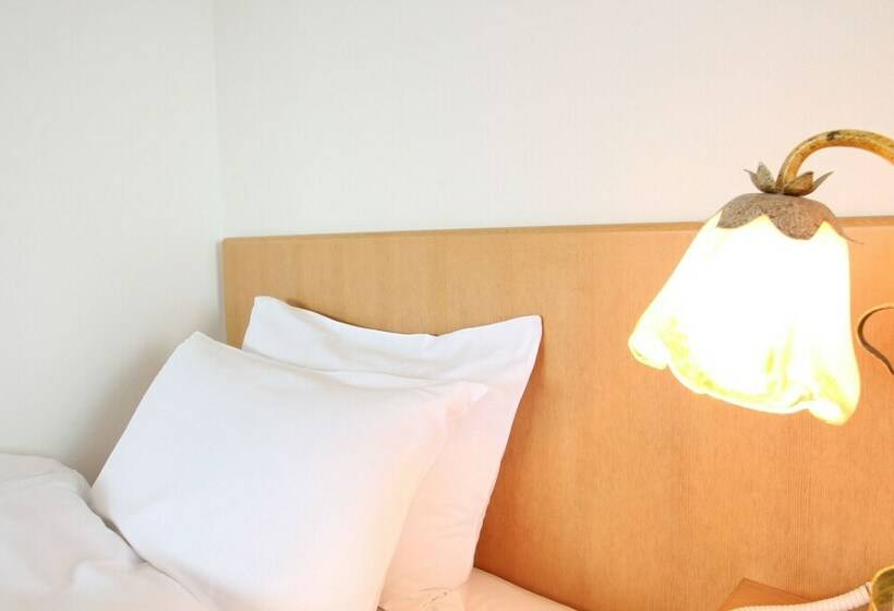 디럭스 룸, Hikone Biwako