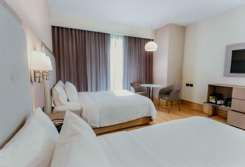 Номер Стандарт 2 Двуспальные Кровати, Hilton Garden Inn Silao Aeropuerto Bajio