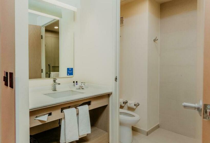 Номер Стандарт 2 Двуспальные Кровати, Hilton Garden Inn Silao Aeropuerto Bajio