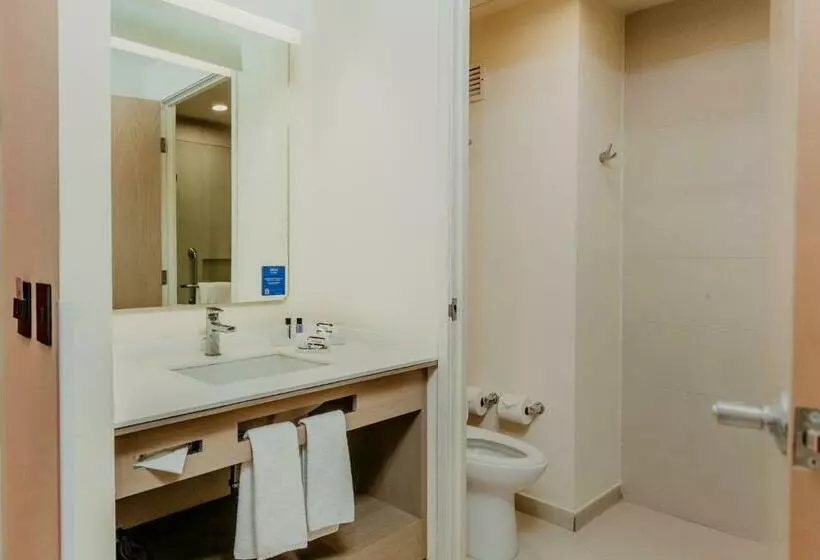 ２ダブルベッドのスタンダードルーム, Hilton Garden Inn Silao Aeropuerto Bajio