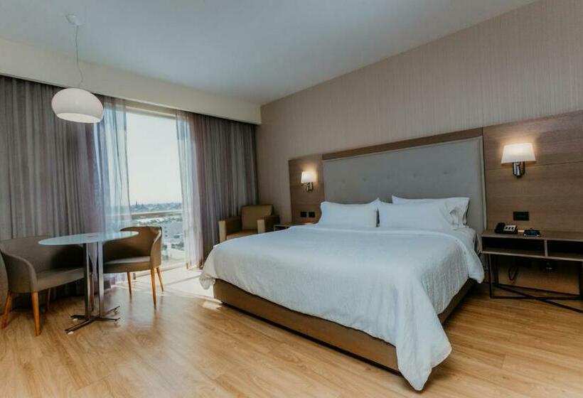 Стандартный Номер Кровать Кинг, Hilton Garden Inn Silao Aeropuerto Bajio