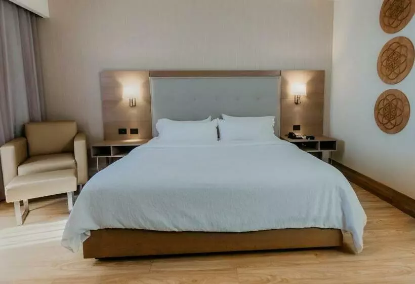 キングサイズベッドのスタンダードルーム, Hilton Garden Inn Silao Aeropuerto Bajio