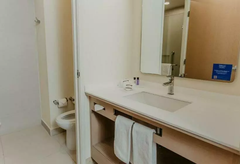 キングサイズベッドのスタンダードルーム, Hilton Garden Inn Silao Aeropuerto Bajio