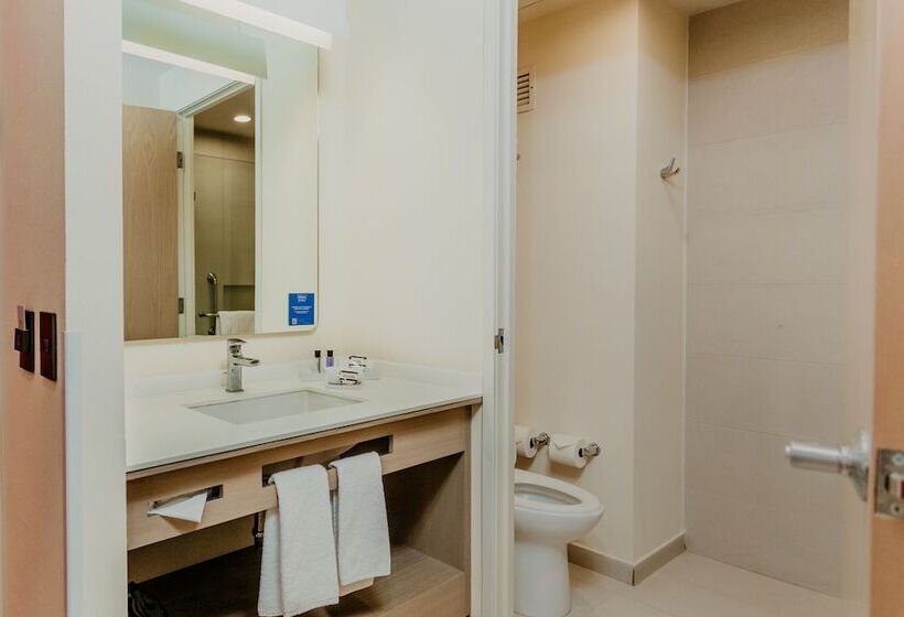 Номер Стандарт 2 Двуспальные Кровати, Hilton Garden Inn Silao Aeropuerto Bajio