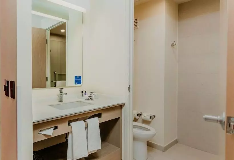 ２ダブルベッドのスタンダードルーム, Hilton Garden Inn Silao Aeropuerto Bajio