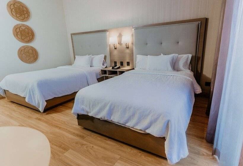 ２ダブルベッドのスタンダードルーム, Hilton Garden Inn Silao Aeropuerto Bajio