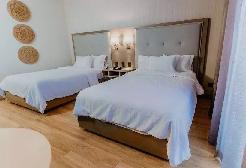 ２ダブルベッドのスタンダードルーム, Hilton Garden Inn Silao Aeropuerto Bajio