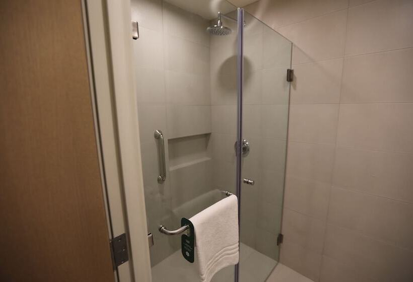 ダブルベッドスタンダードルーム, Hilton Garden Inn Silao Aeropuerto Bajio