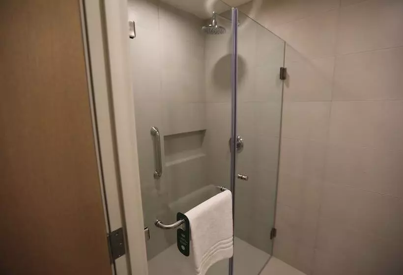 ダブルベッドスタンダードルーム, Hilton Garden Inn Silao Aeropuerto Bajio