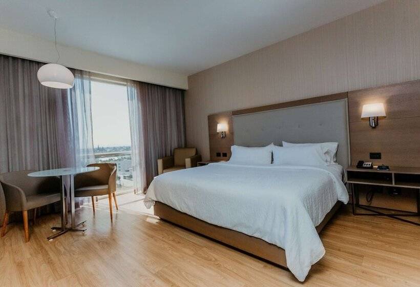 ダブルベッドスタンダードルーム, Hilton Garden Inn Silao Aeropuerto Bajio