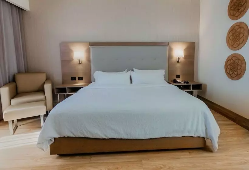 ダブルベッドスタンダードルーム, Hilton Garden Inn Silao Aeropuerto Bajio