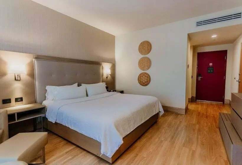 ダブルベッドスタンダードルーム, Hilton Garden Inn Silao Aeropuerto Bajio