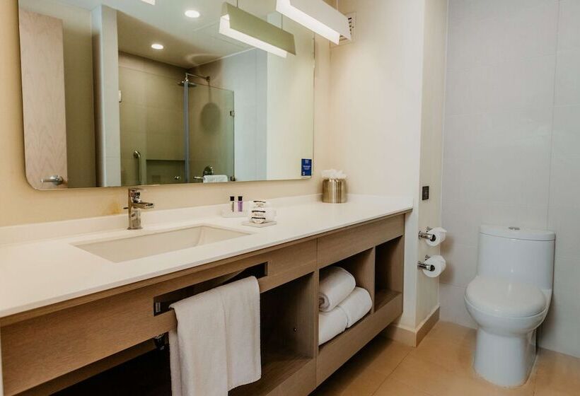 Номер Стандарт Двуспальная Кровать, Hilton Garden Inn Silao Aeropuerto Bajio