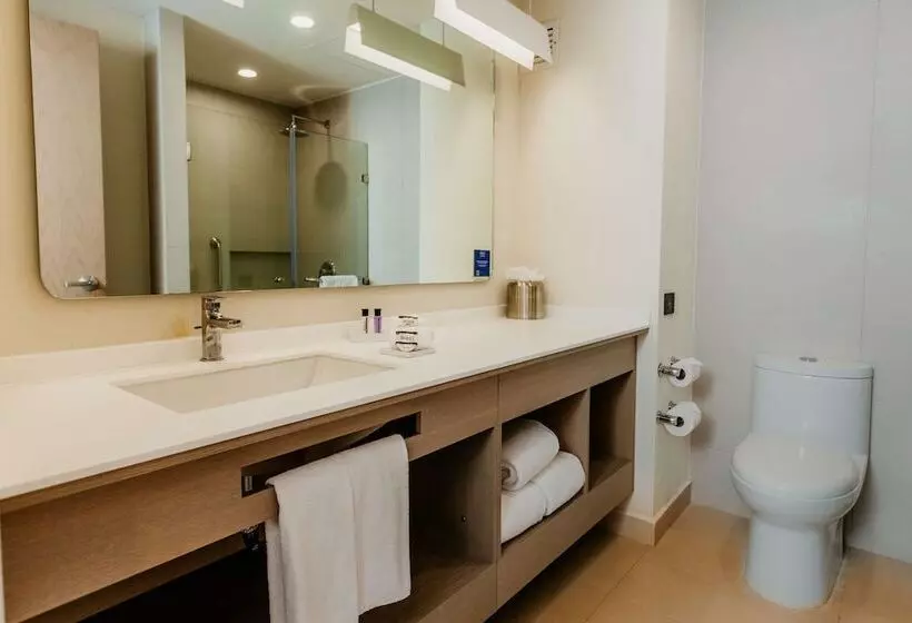 ダブルベッドスタンダードルーム, Hilton Garden Inn Silao Aeropuerto Bajio