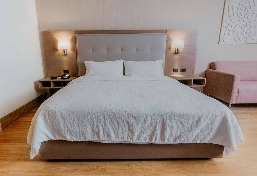 Номер Стандарт Двуспальная Кровать, Hilton Garden Inn Silao Aeropuerto Bajio