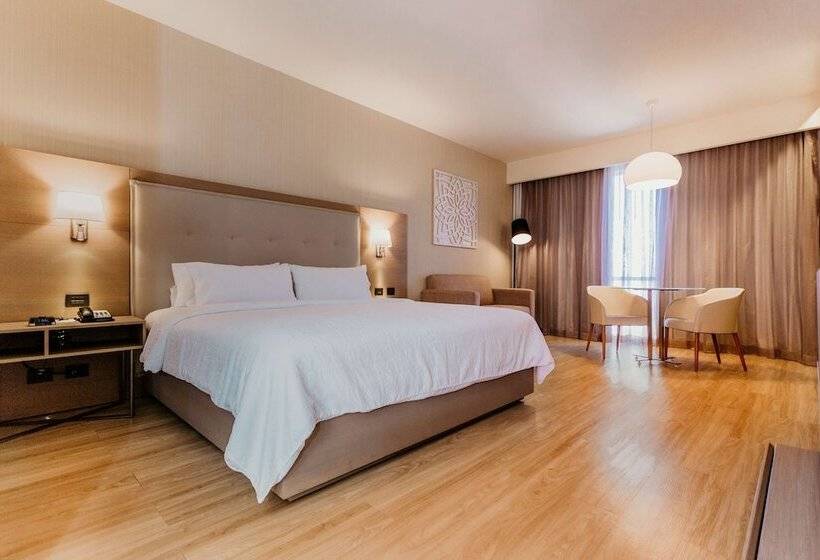 Номер Стандарт Двуспальная Кровать, Hilton Garden Inn Silao Aeropuerto Bajio