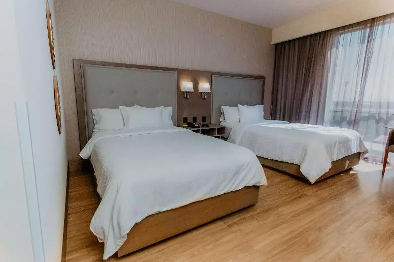 スタンダードルーム, Hilton Garden Inn Silao Aeropuerto Bajio