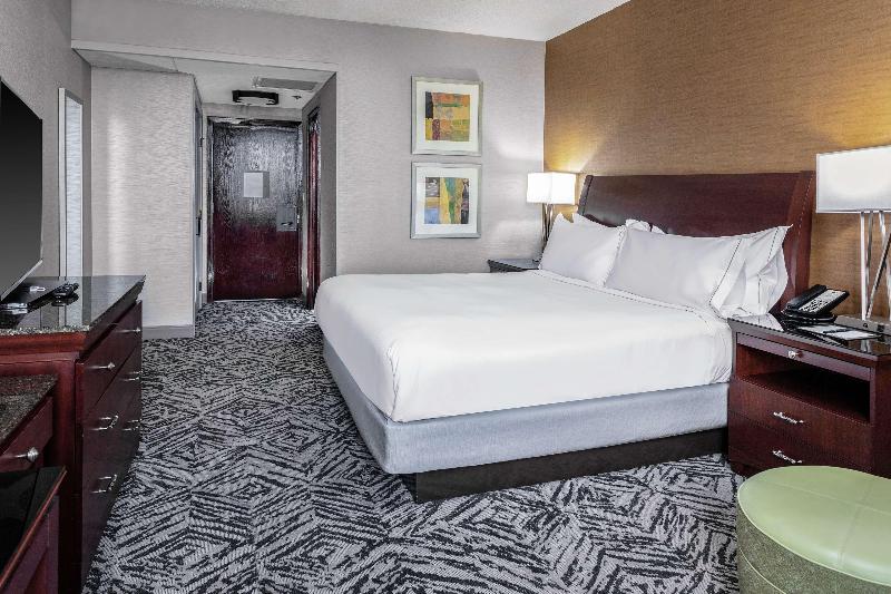 Номер Стандарт Кровать Кинг Адаптированный для Инвалидов, Hilton Garden Inn Silao Aeropuerto Bajio