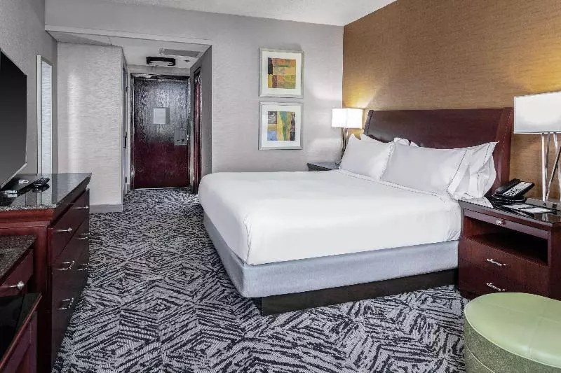 身障者適用キングサイズベッドルーム, Hilton Garden Inn Silao Aeropuerto Bajio